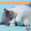 Bolinha Automática para Pets