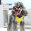 Coleira Confortável e Reforçada para Pets