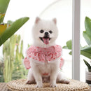 Coleira Feminina Estilo Anjinho para Pets