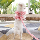 Coleira Feminina Estilo Anjinho para Pets