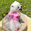 Coleira Feminina Estilo Anjinho para Pets