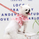 Coleira Feminina Estilo Anjinho para Pets