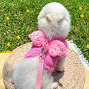 Coleira Feminina Estilo Anjinho para Pets