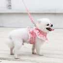 Coleira Feminina Estilo Anjinho para Pets