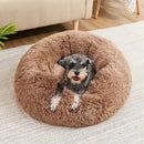 Caminha Pelúciada e Fofa para Pets