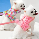 Coleira Feminina Estilo Anjinho para Pets