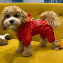 Jaqueta Impermeável com Capuz para Pets