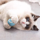 Bolinha Automática para Pets