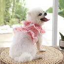 Coleira Feminina Estilo Anjinho para Pets