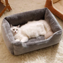 Caminha Premium para Pets