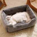 Caminha Premium para Pets