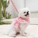 Coleira Feminina Estilo Anjinho para Pets